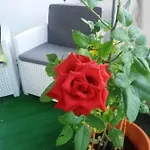 Apartment Che Bella Vita! *