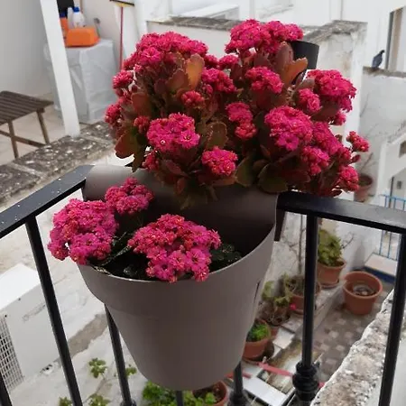 Apartmán Che Bella Vita!