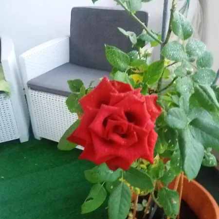 Apartmán Che Bella Vita! *