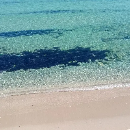 Che Bella Vita!